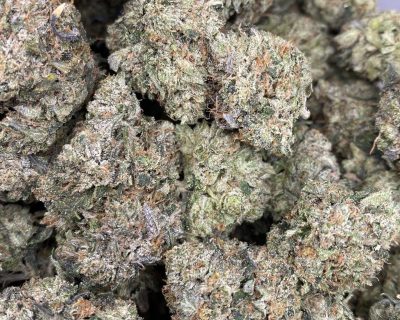 PINK ALL STAR (MEGA GAS) - Image 6